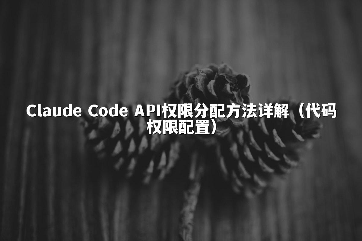 Claude Code API权限分配方法详解（代码权限配置）