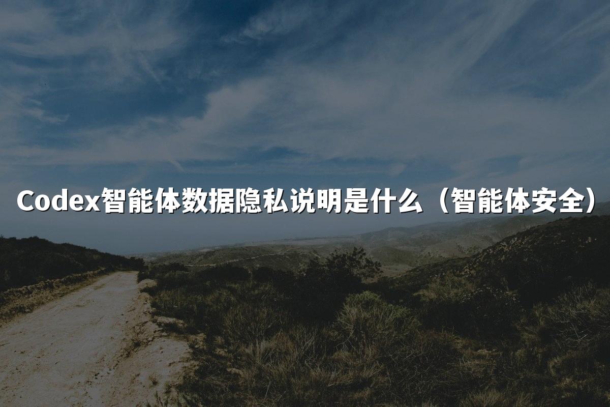 Codex智能体数据隐私说明是什么（智能体安全）