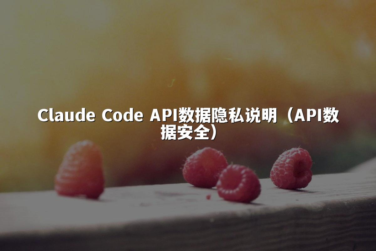 Claude Code API数据隐私说明(API数据安全)