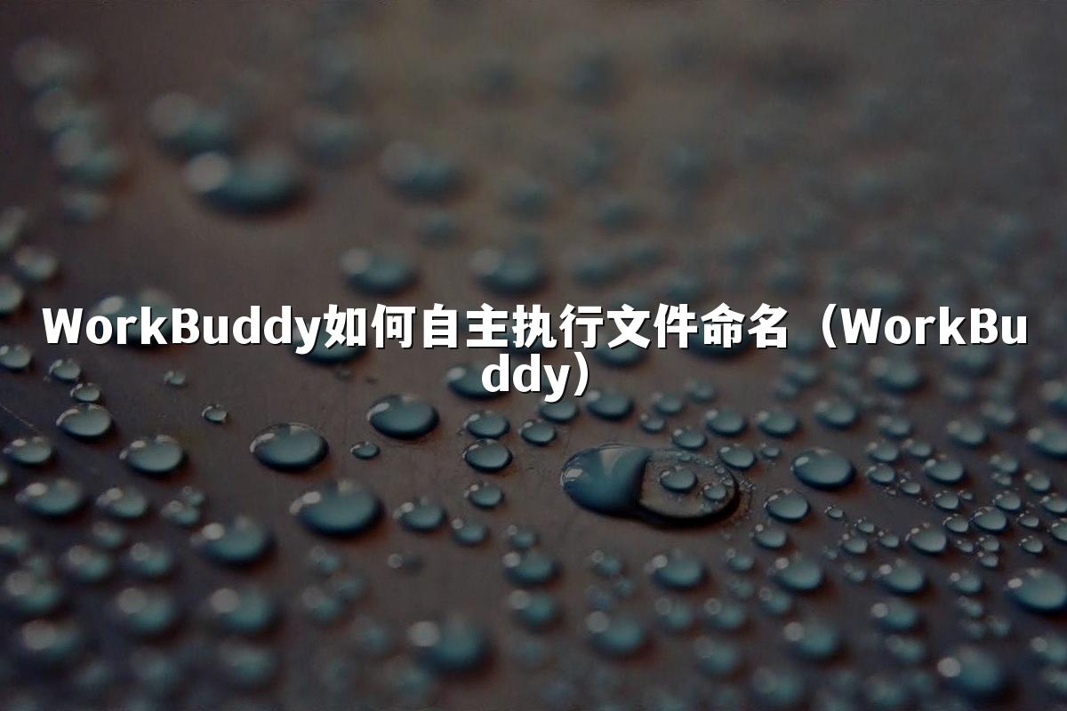 WorkBuddy如何自主执行文件命名(WorkBuddy)