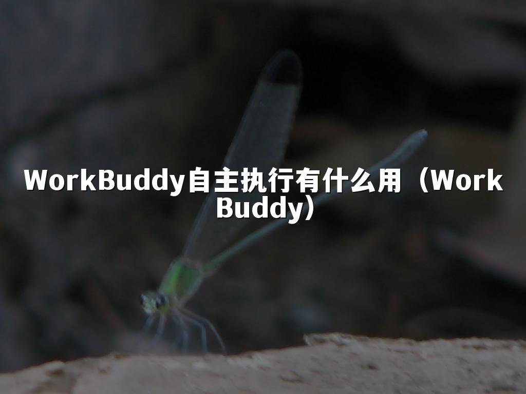 WorkBuddy自主执行有什么用(WorkBuddy)