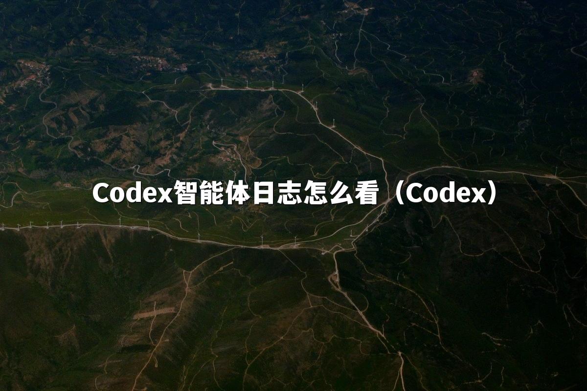 Codex智能体日志怎么看(Codex)