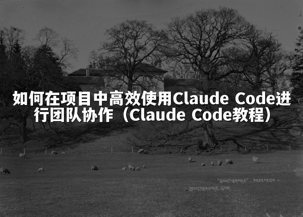 如何在项目中高效使用Claude Code进行团队协作（Claude Code教程）