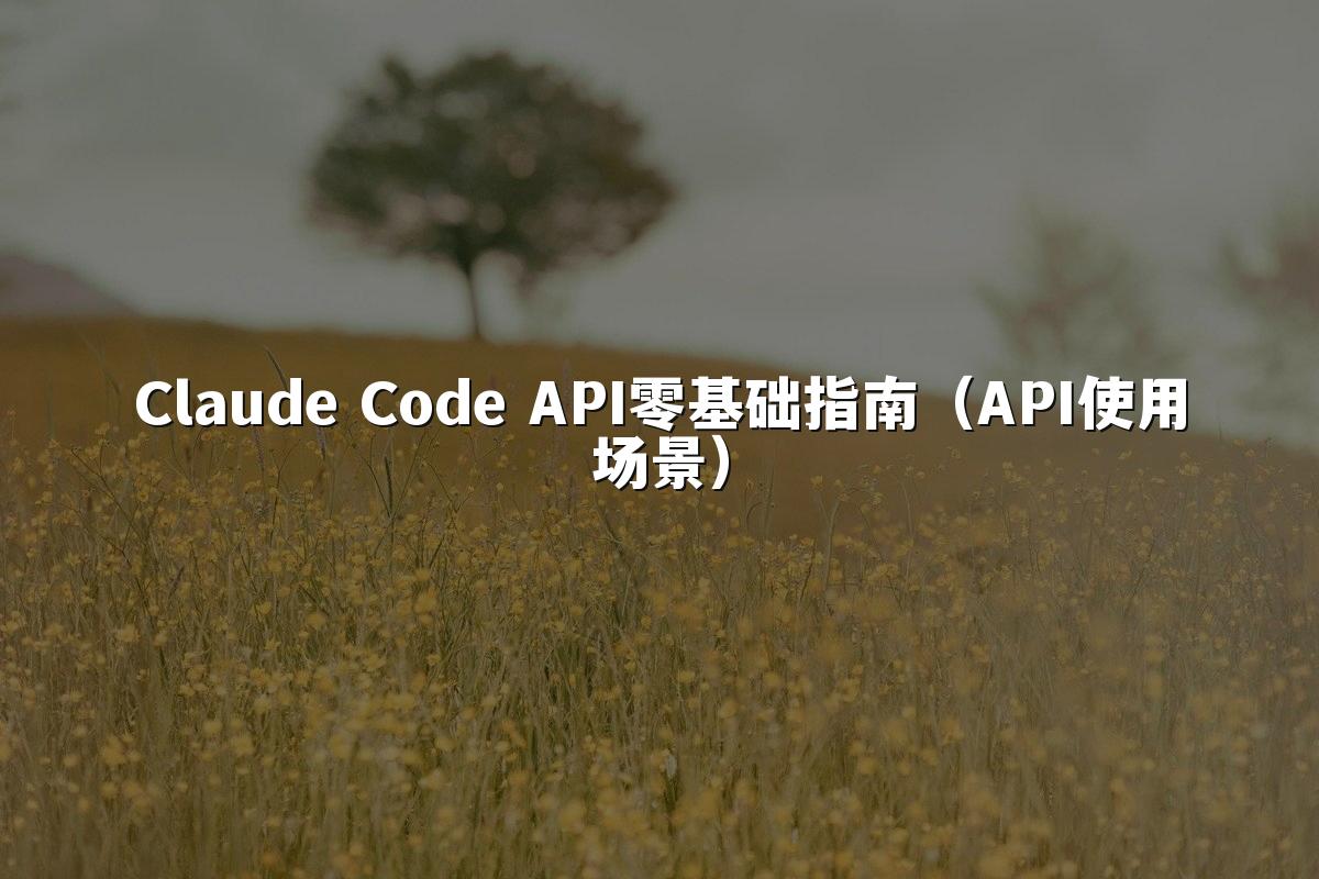 Claude Code API零基础指南(API使用场景)