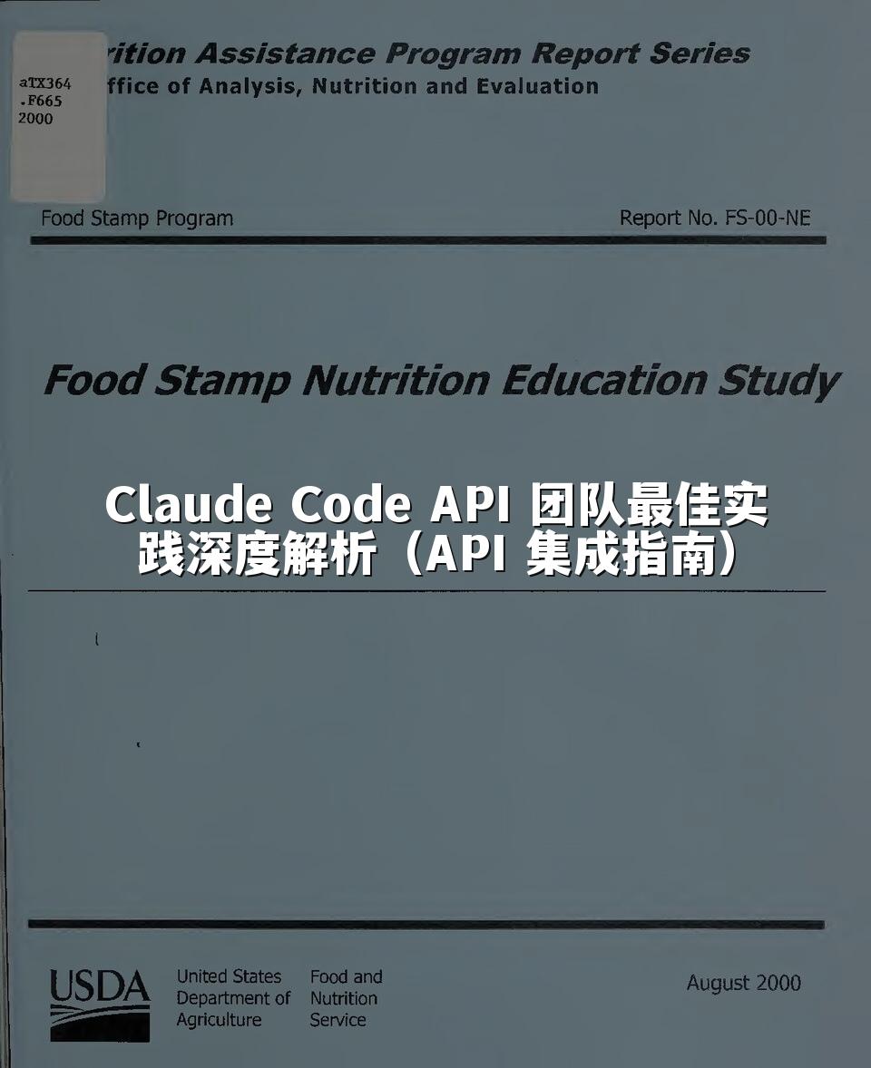 Claude Code API 团队最佳实践深度解析(API 集成指南)