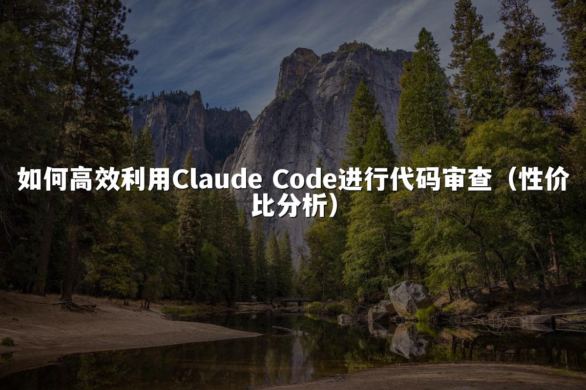 如何高效利用Claude Code进行代码审查（性价比分析）