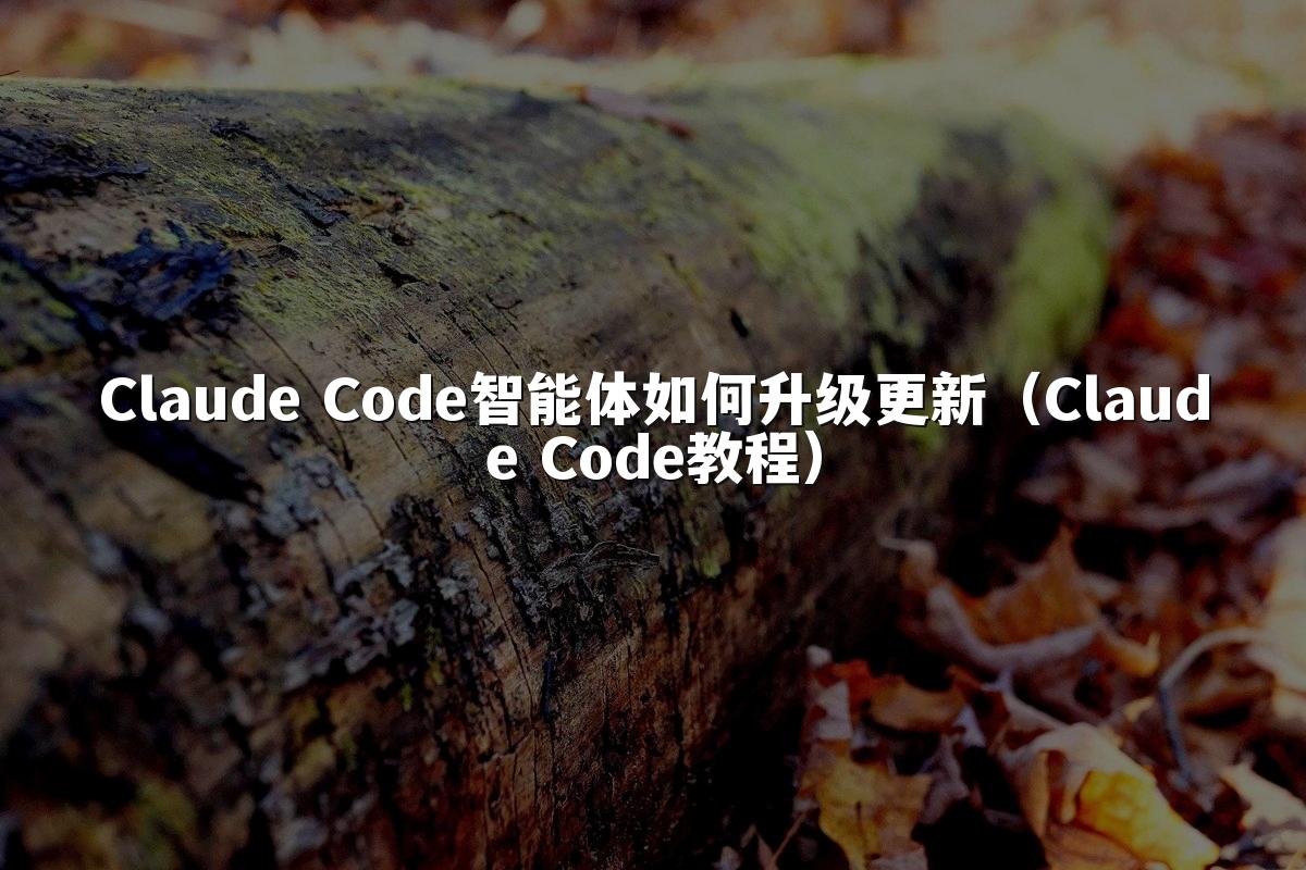 Claude Code智能体如何升级更新（Claude Code教程）