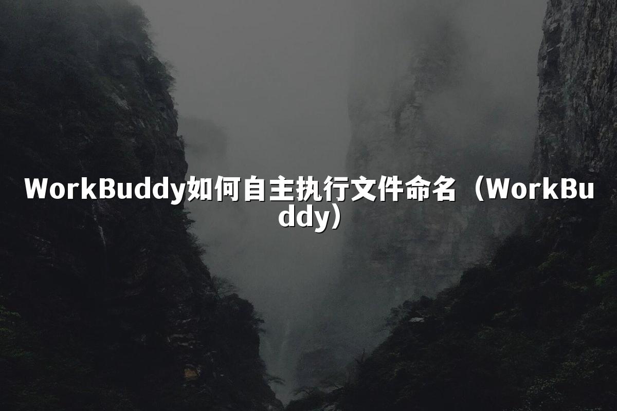 WorkBuddy如何自主执行文件命名(WorkBuddy)