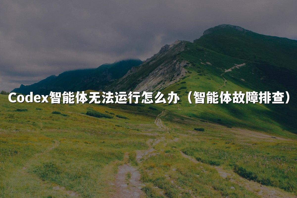 Codex智能体无法运行怎么办（智能体故障排查）