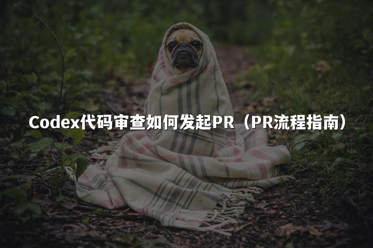 Codex代码审查如何发起PR(PR流程指南)