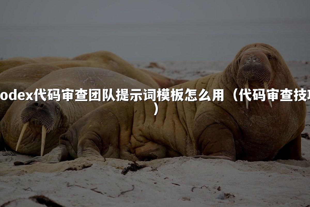 Codex代码审查团队提示词模板怎么用（代码审查技巧）
