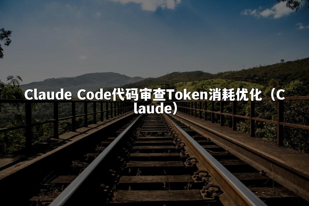 Claude Code代码审查Token消耗优化（Claude）