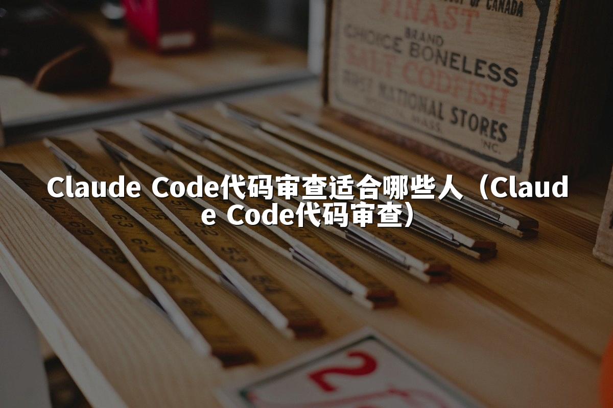 Claude Code代码审查适合哪些人（Claude Code代码审查）