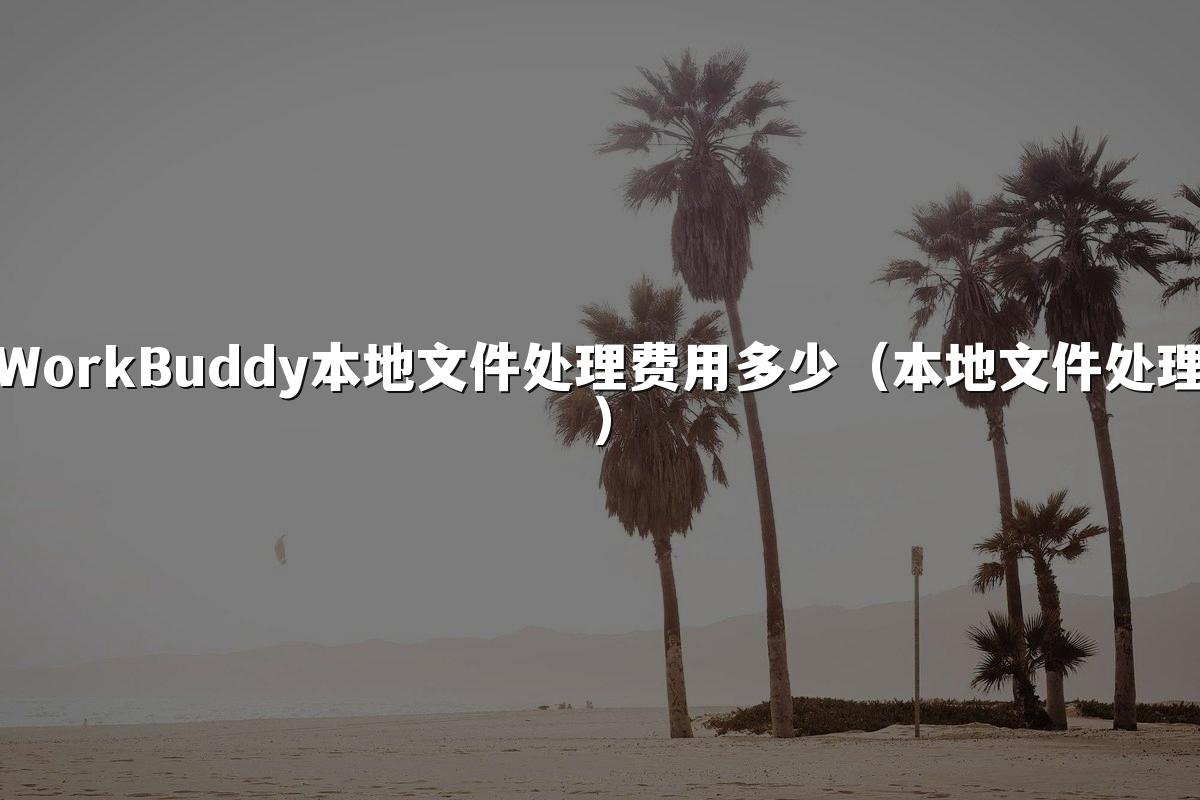 WorkBuddy本地文件处理费用多少(本地文件处理)