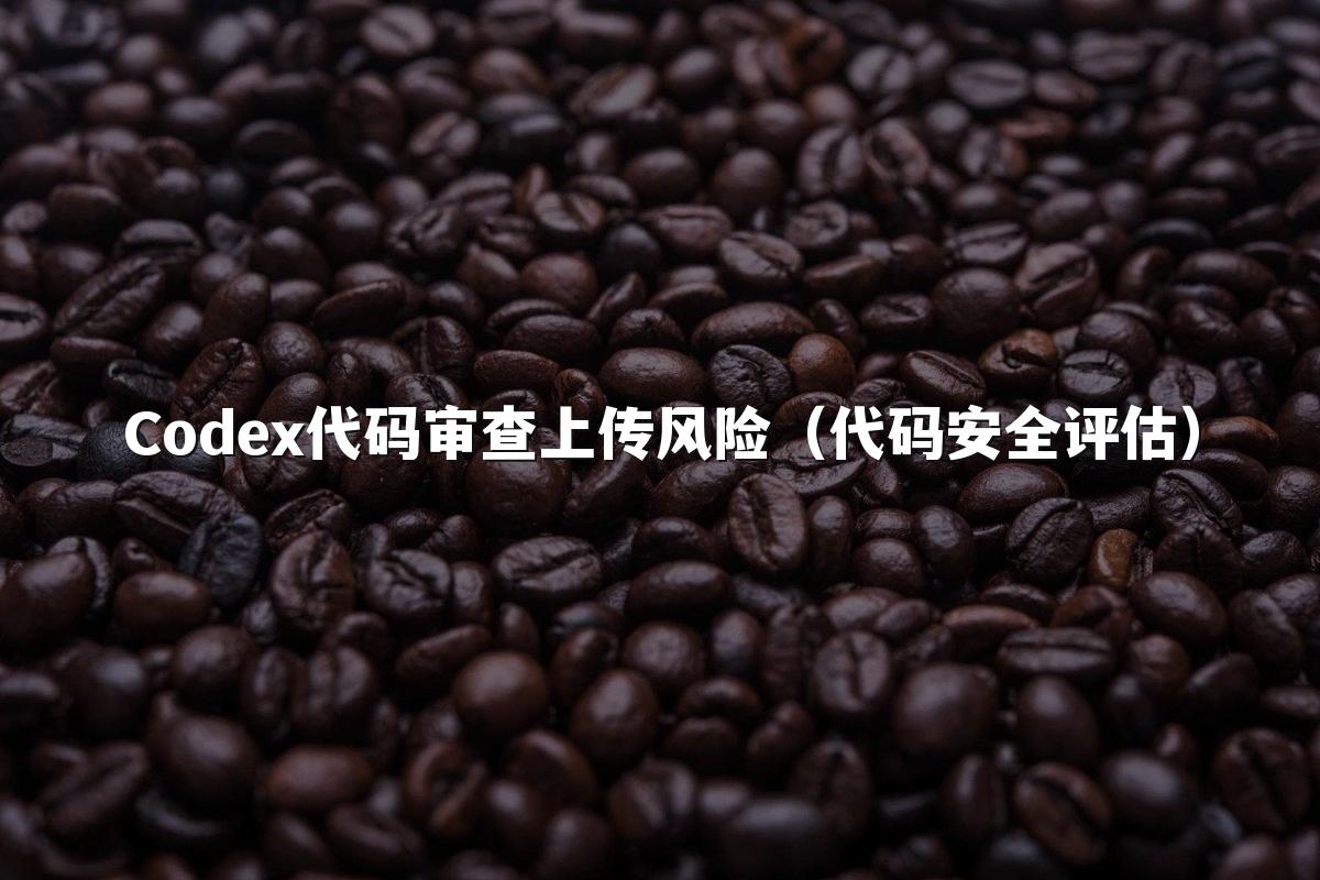 Codex代码审查上传风险（代码安全评估）