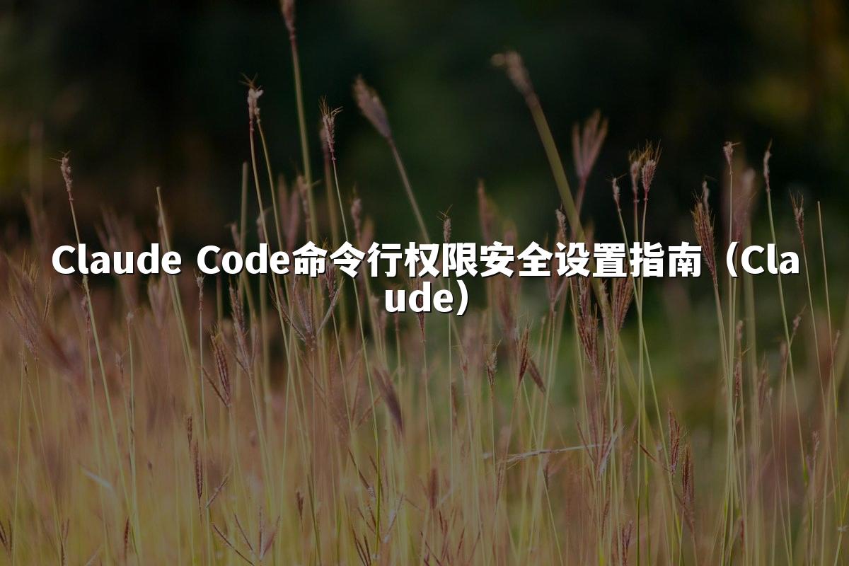 Claude Code命令行权限安全设置指南（Claude）