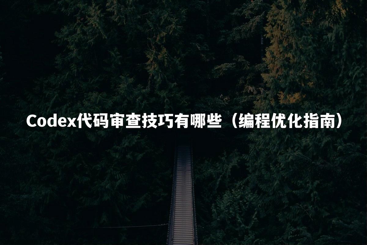 Codex代码审查技巧有哪些(编程优化指南)
