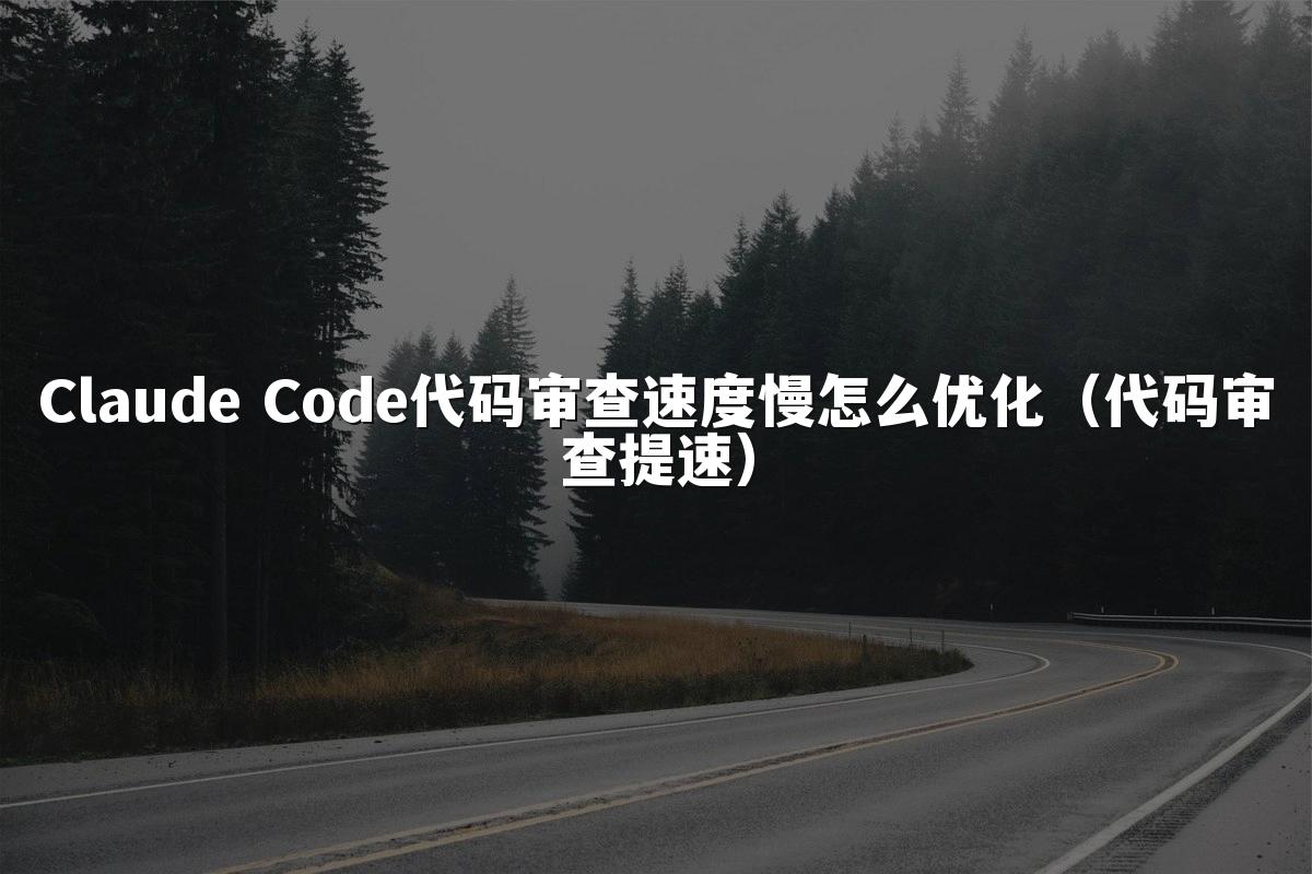 Claude Code代码审查速度慢怎么优化（代码审查提速）
