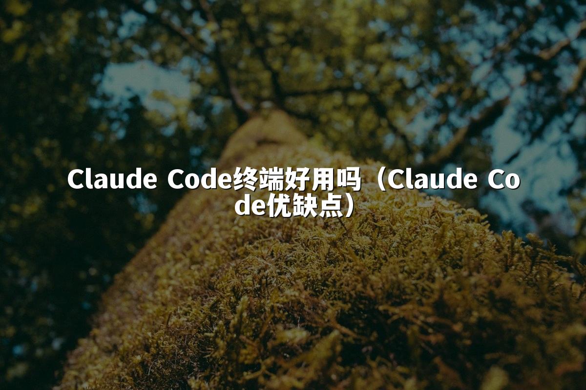 Claude Code终端好用吗(Claude Code优缺点)