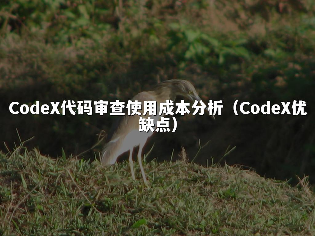 CodeX代码审查使用成本分析（CodeX优缺点）