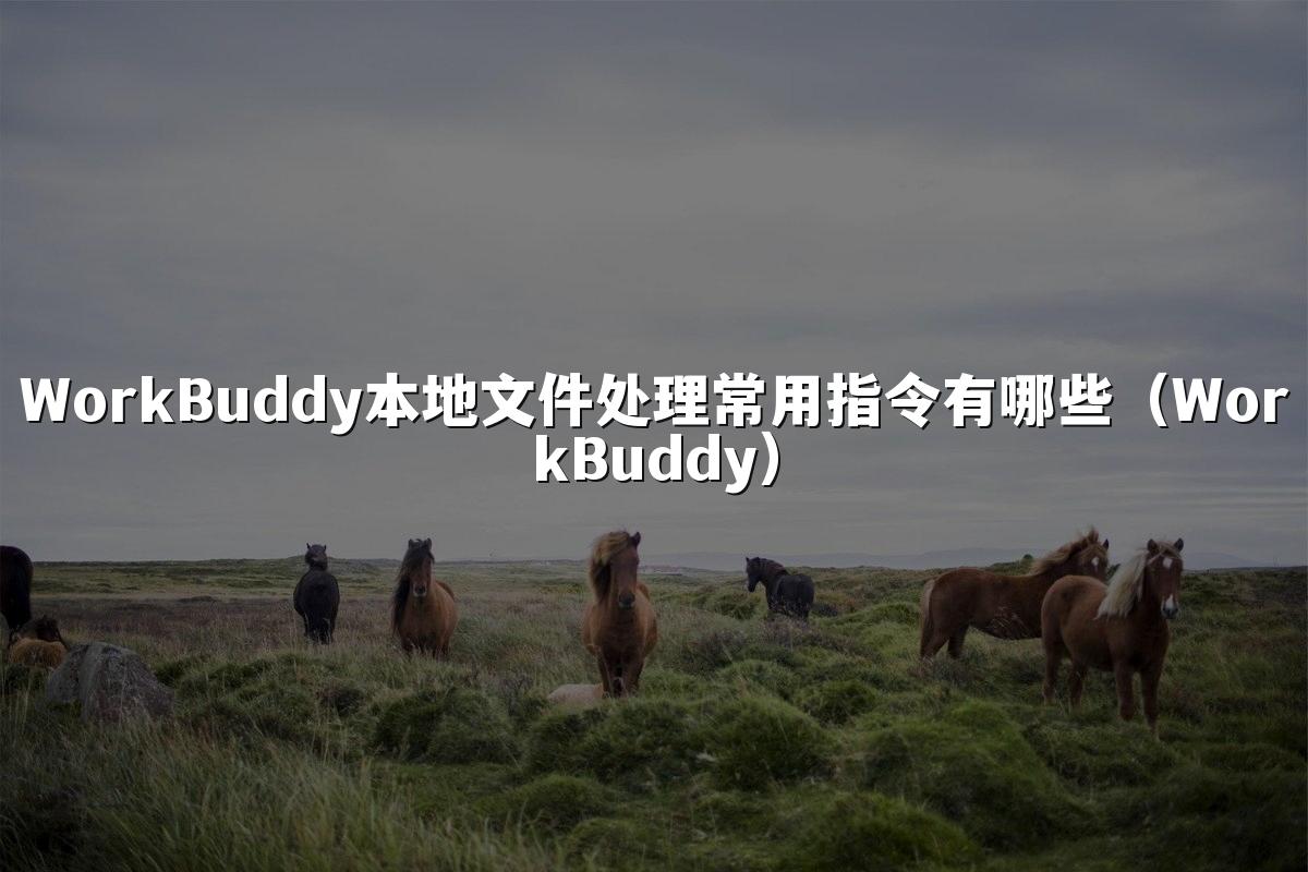 WorkBuddy本地文件处理常用指令有哪些（WorkBuddy）