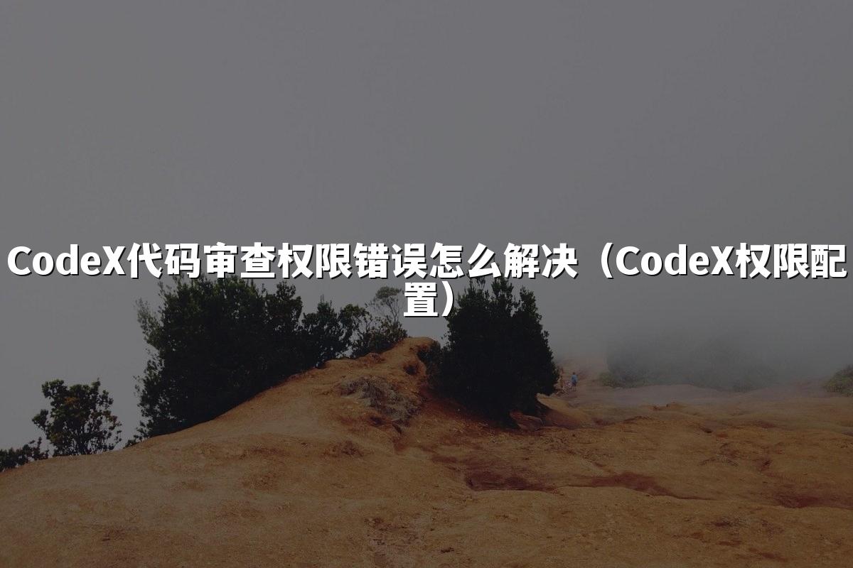 CodeX代码审查权限错误怎么解决(CodeX权限配置)