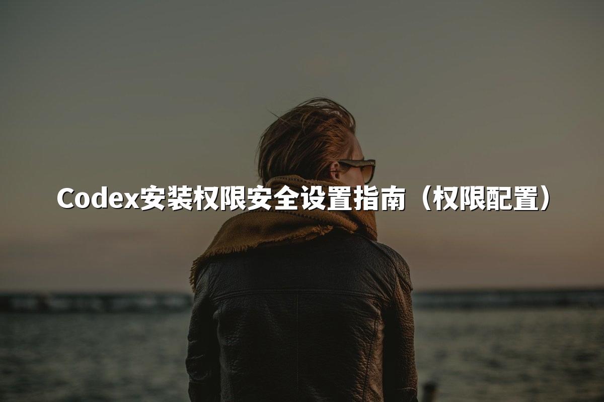 Codex安装权限安全设置指南（权限配置）