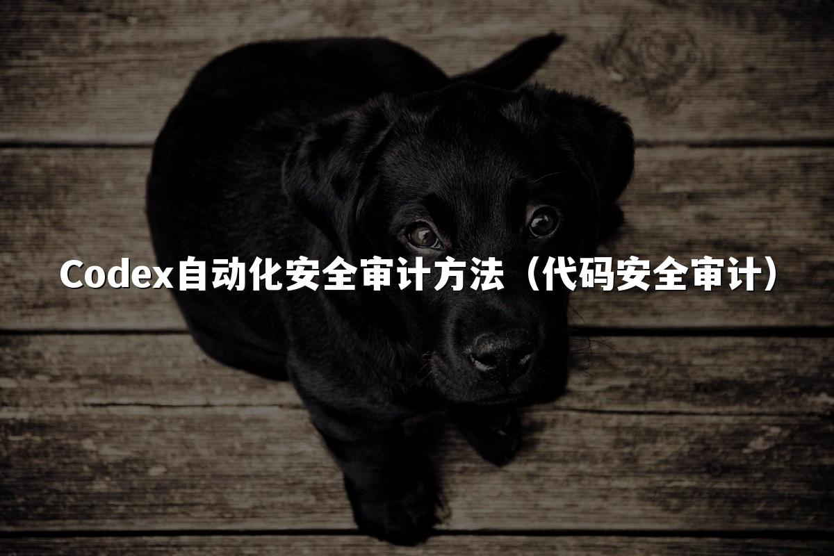 Codex自动化安全审计方法（代码安全审计）
