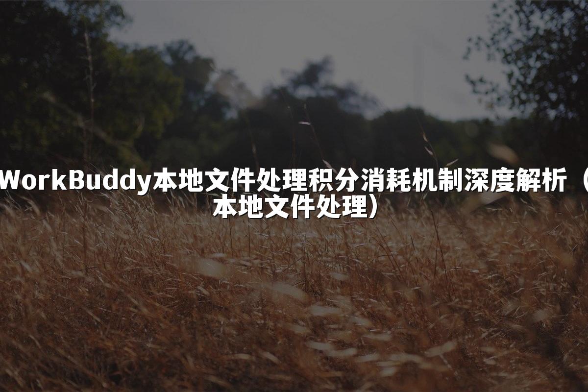 WorkBuddy本地文件处理积分消耗机制深度解析(本地文件处理)