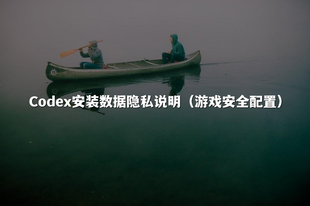 Codex安装数据隐私说明（游戏安全配置）