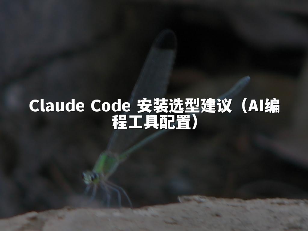 Claude Code 安装选型建议（AI编程工具配置）