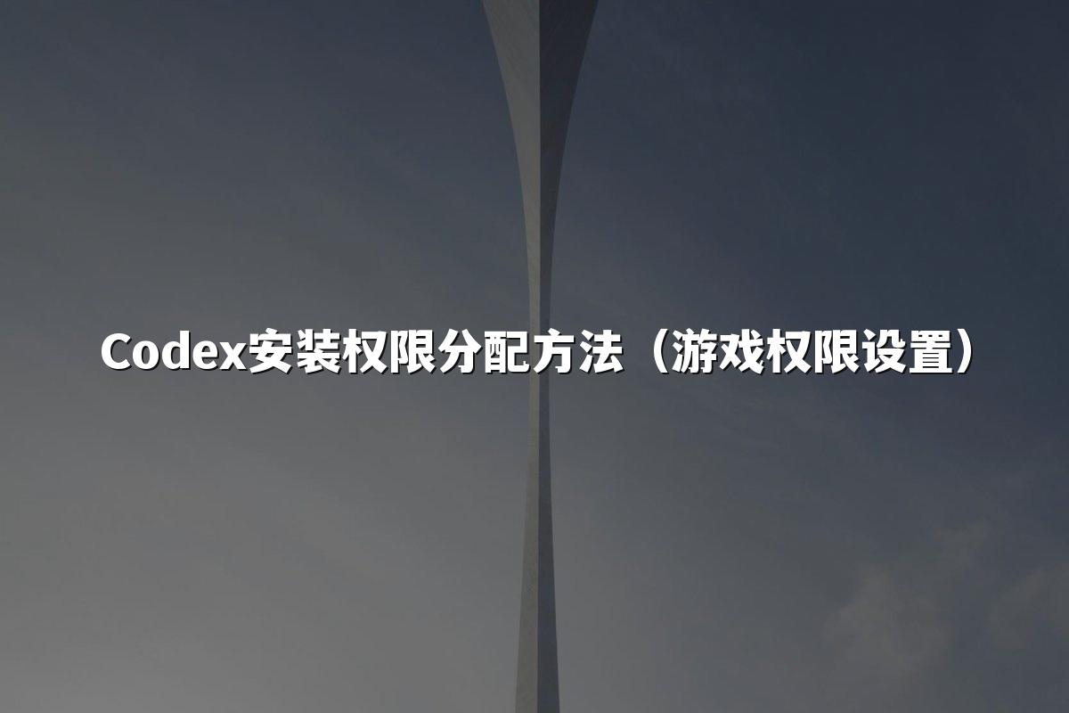 Codex安装权限分配方法(游戏权限设置)