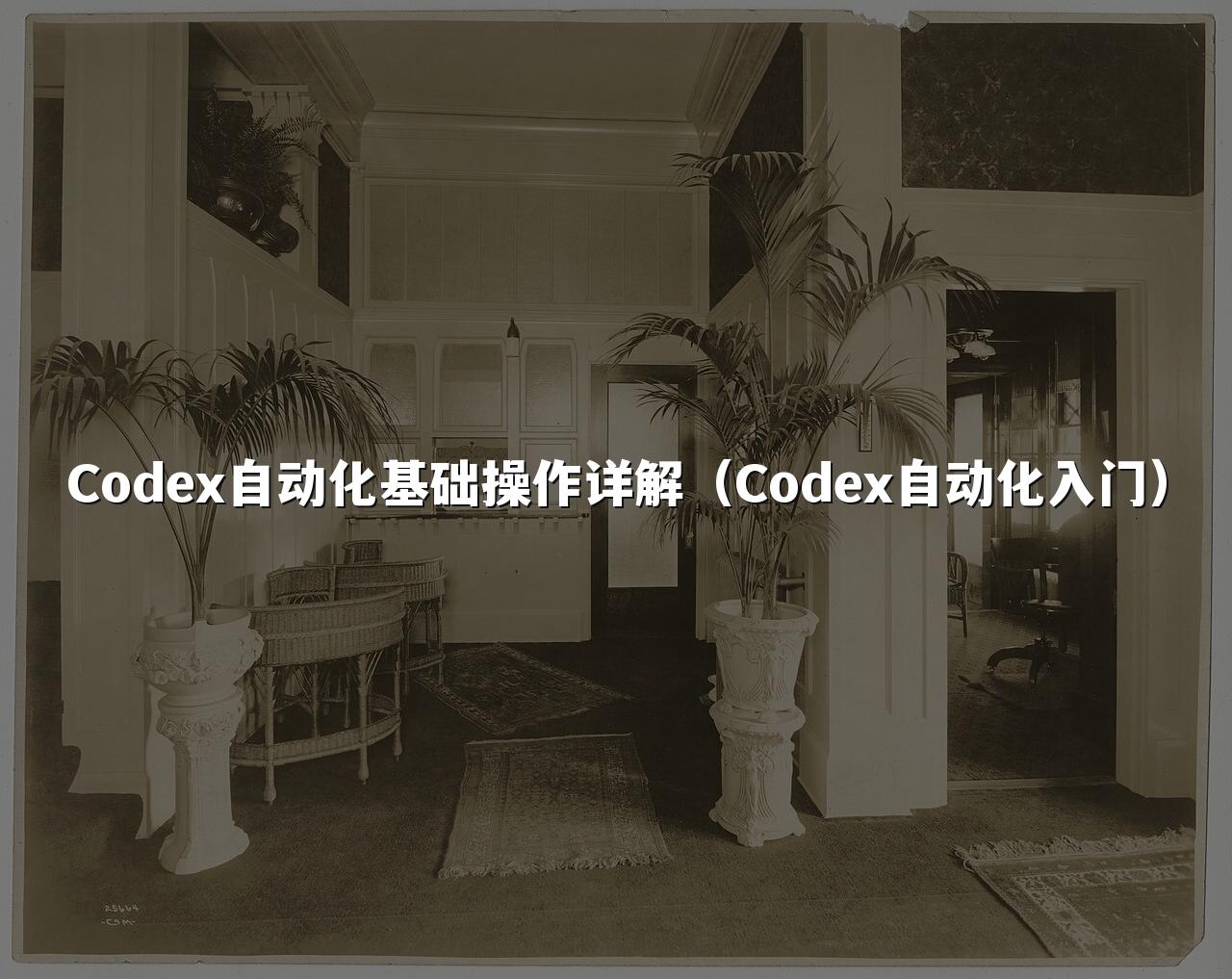 Codex自动化基础操作详解(Codex自动化入门)
