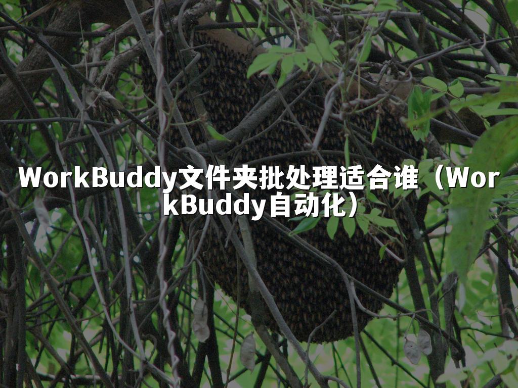 WorkBuddy文件夹批处理适合谁(WorkBuddy自动化)