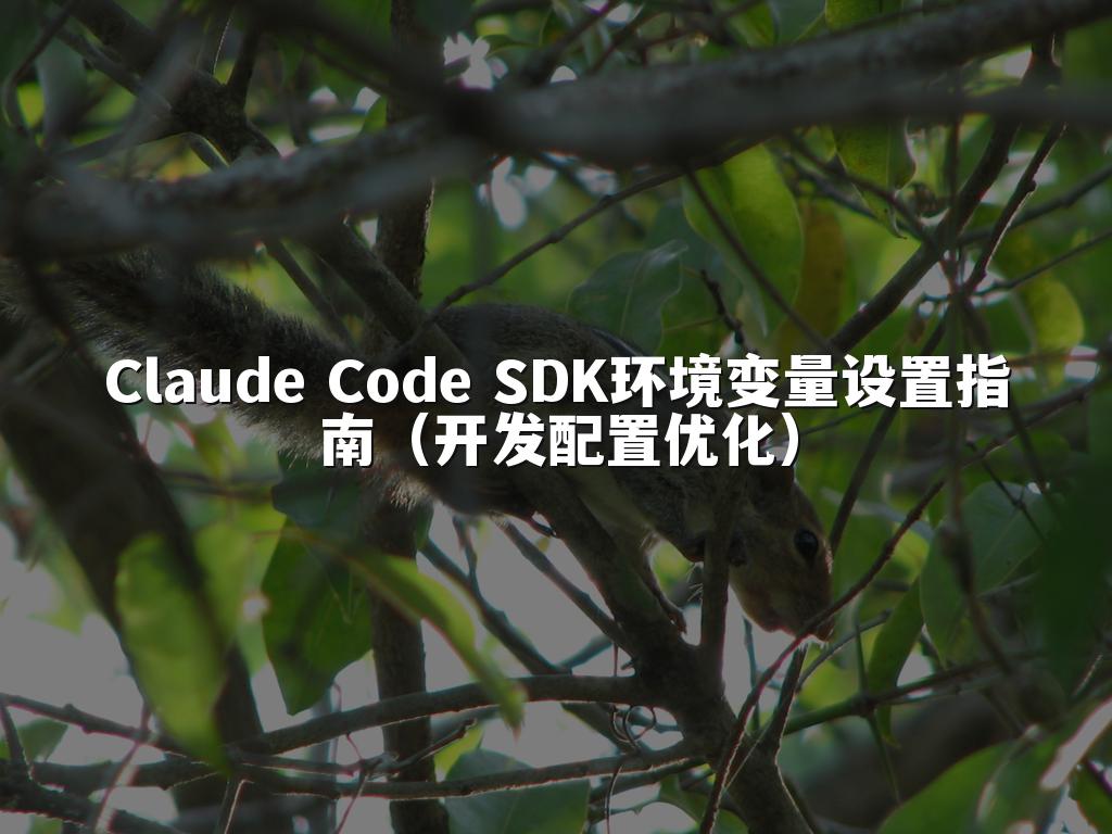 Claude Code SDK环境变量设置指南（开发配置优化）