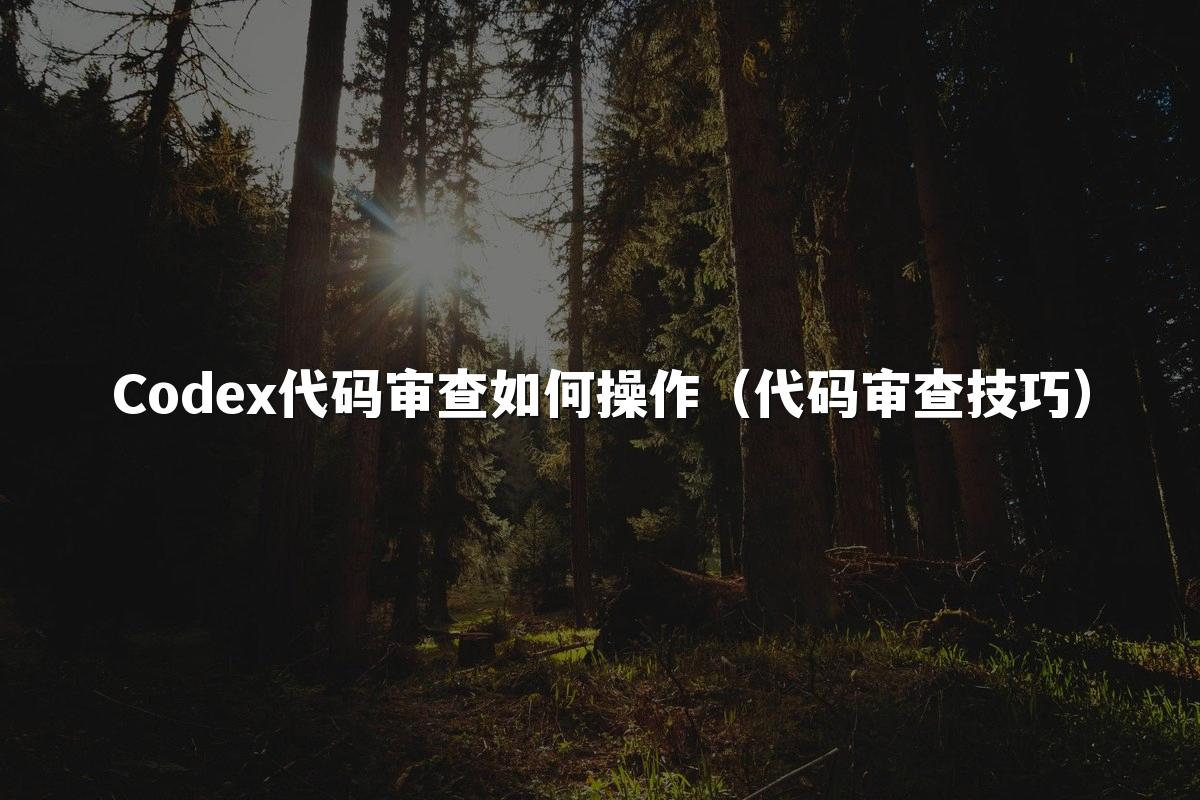 Codex代码审查如何操作(代码审查技巧)