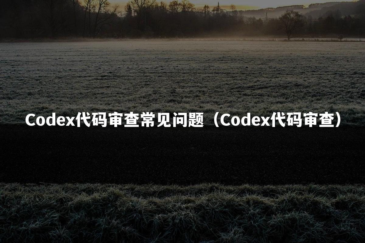 Codex代码审查常见问题（Codex代码审查）