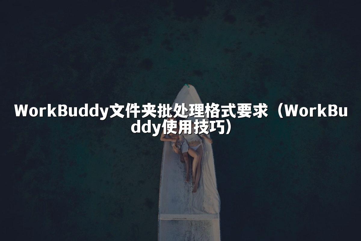 WorkBuddy文件夹批处理格式要求(WorkBuddy使用技巧)