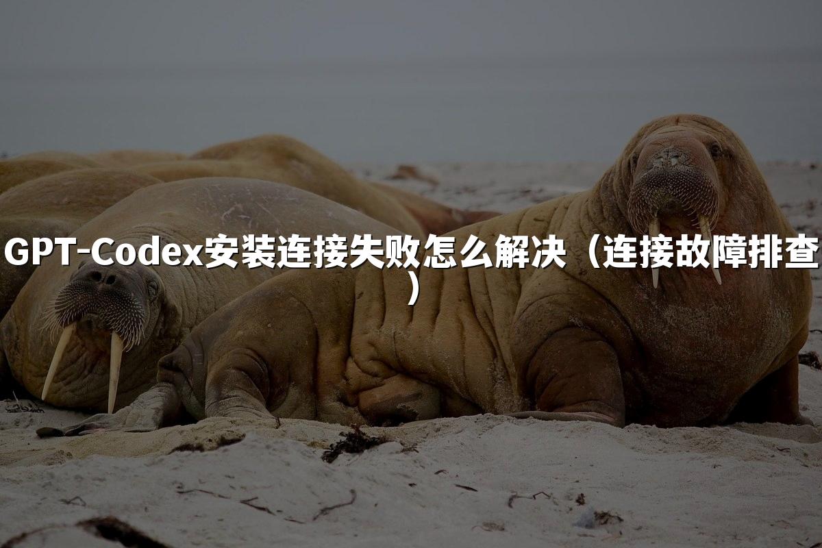 GPT-Codex安装连接失败怎么解决（连接故障排查）