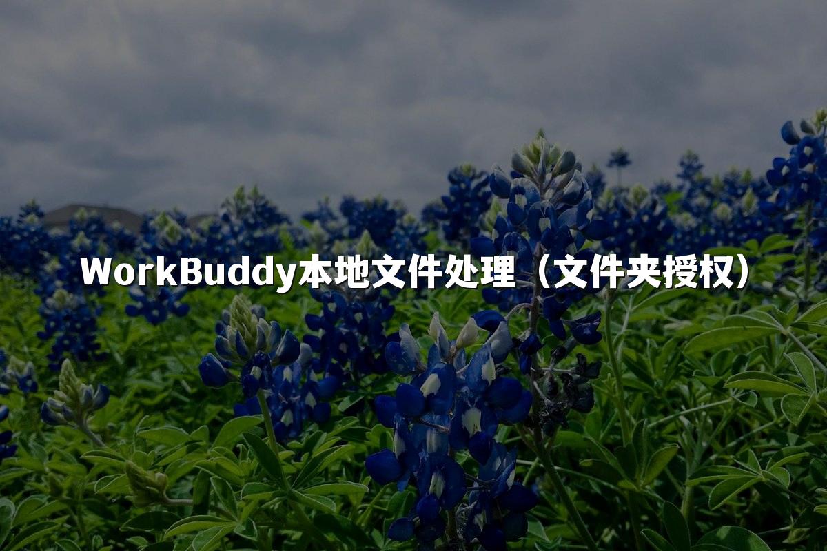 WorkBuddy本地文件处理(文件夹授权)