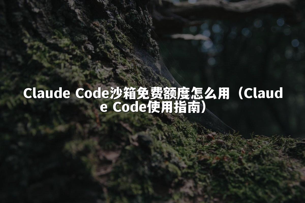 Claude Code沙箱免费额度怎么用(Claude Code使用指南)