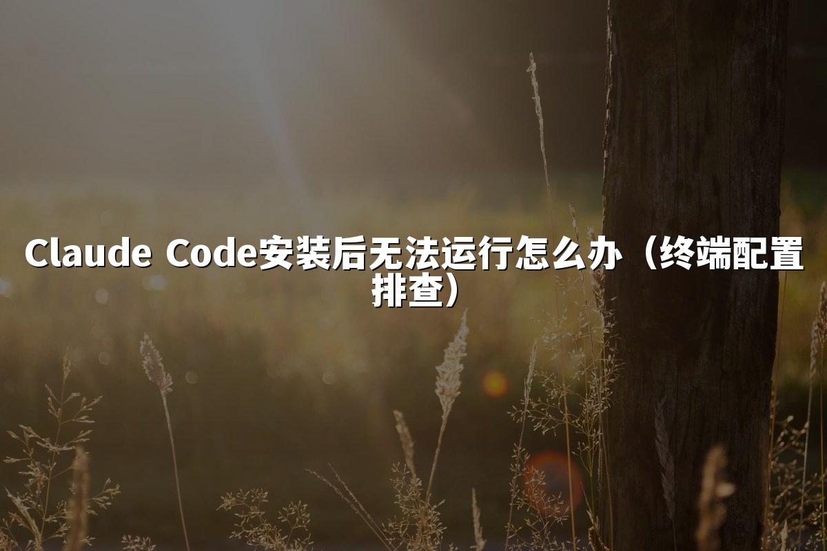 Claude Code安装后无法运行怎么办（终端配置排查）