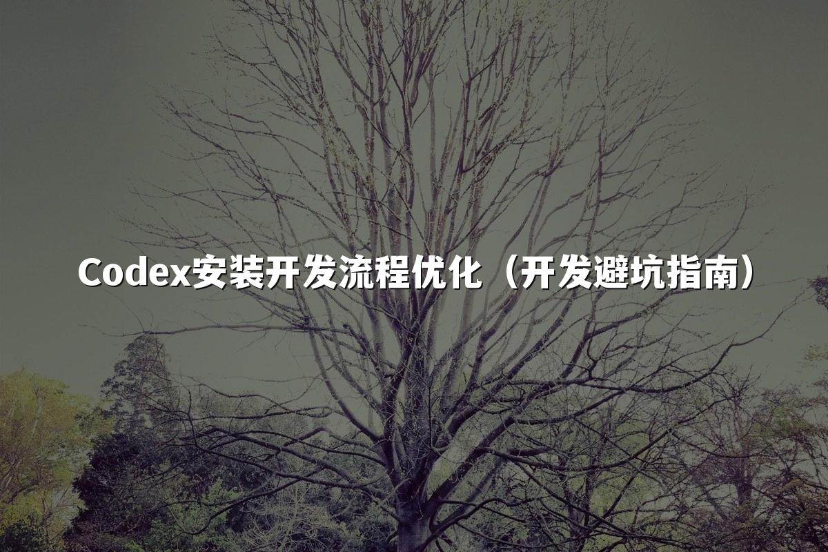 Codex安装开发流程优化(开发避坑指南)