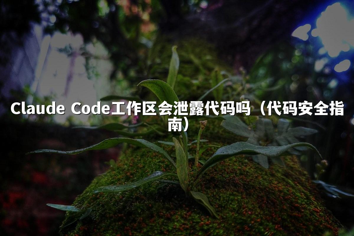 Claude Code工作区会泄露代码吗(代码安全指南)