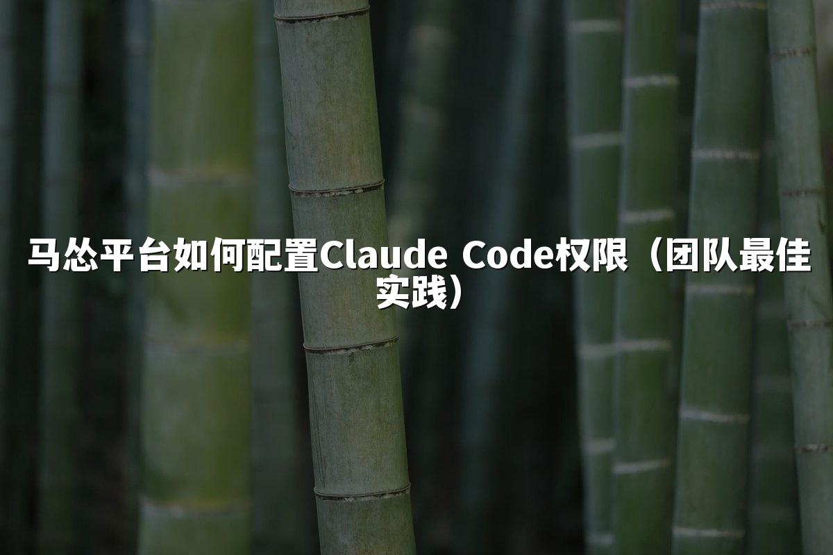马怂平台如何配置Claude Code权限（团队最佳实践）
