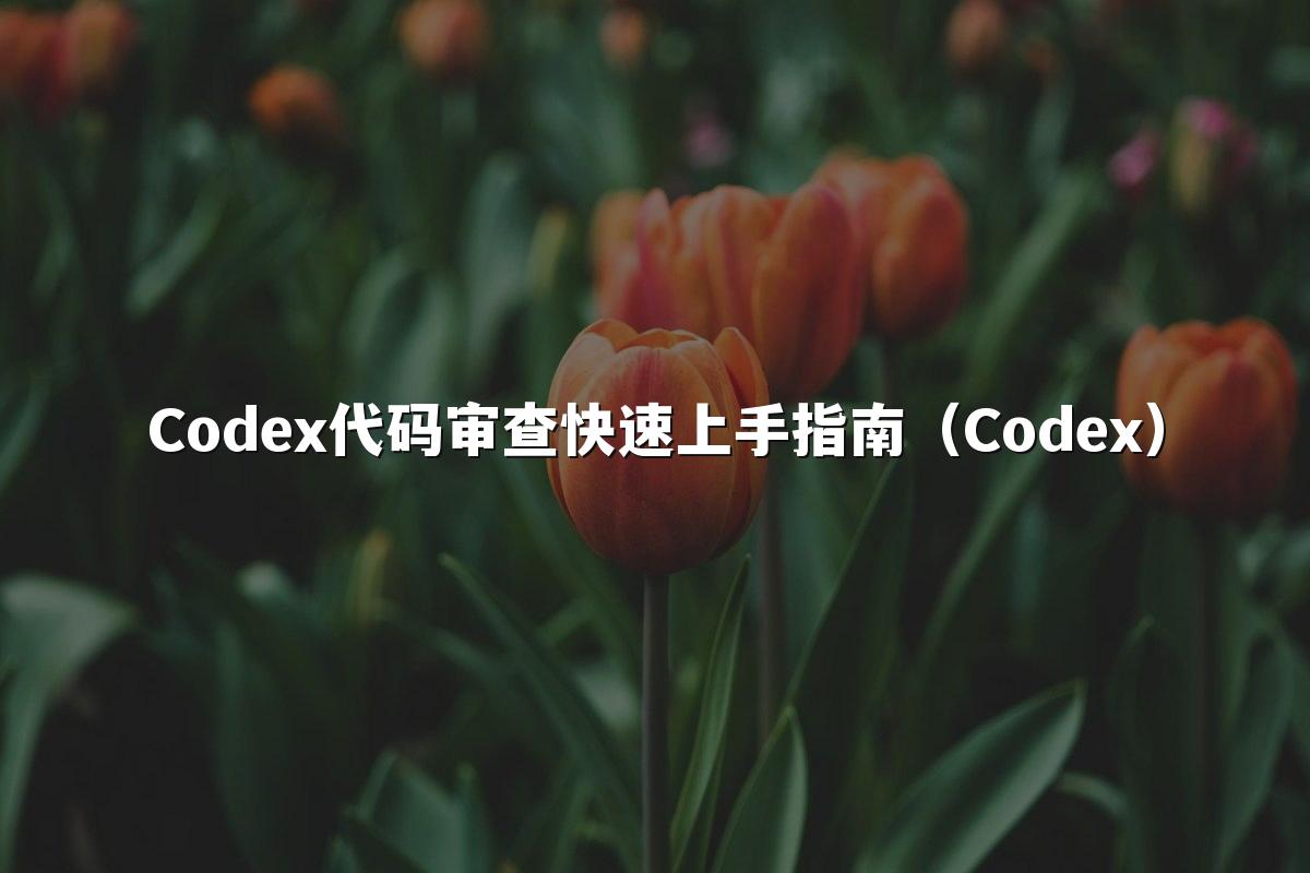 Codex代码审查快速上手指南(Codex)