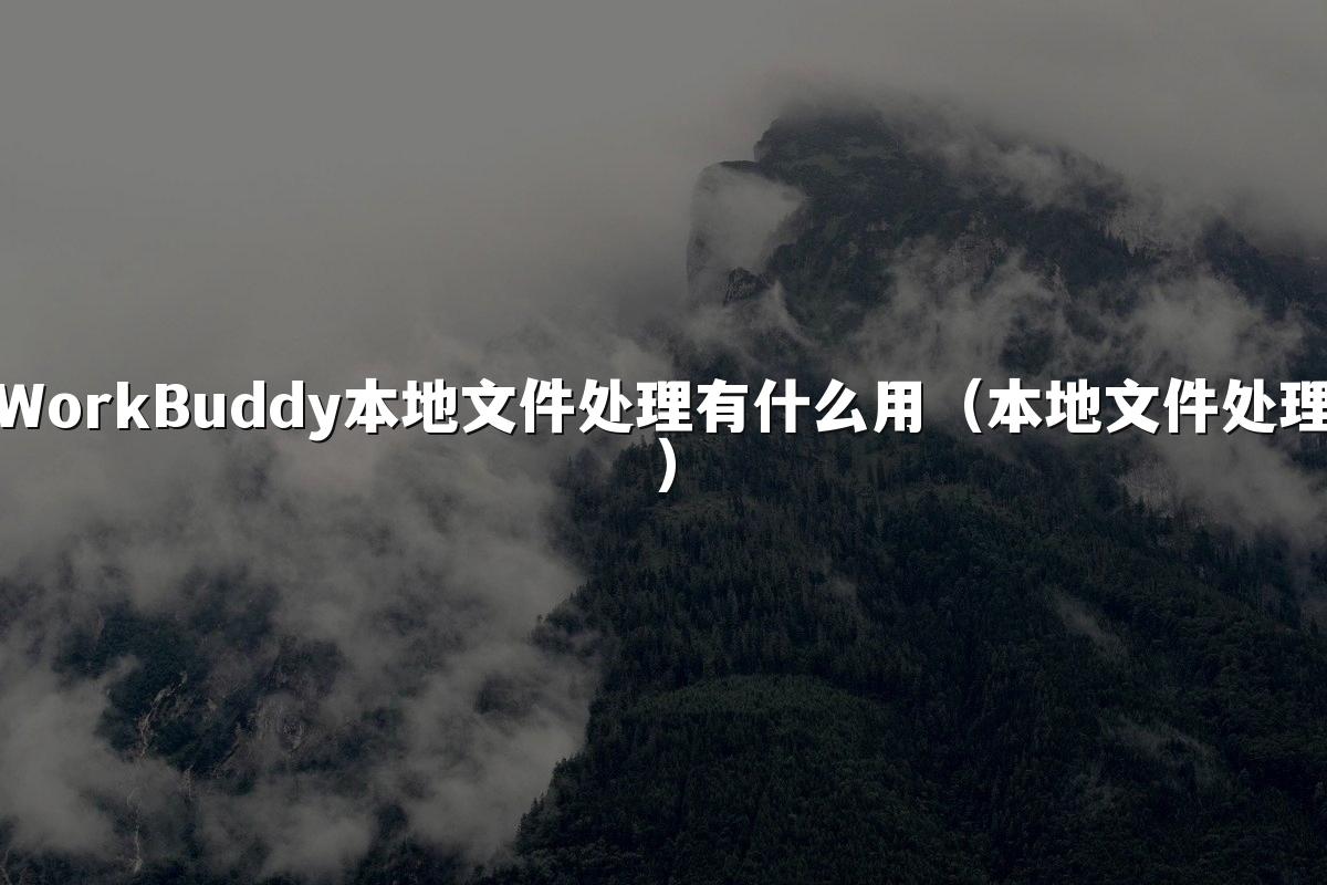 WorkBuddy本地文件处理有什么用(本地文件处理)