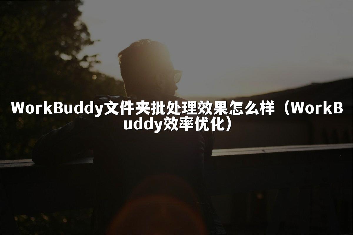 WorkBuddy文件夹批处理效果怎么样(WorkBuddy效率优化)
