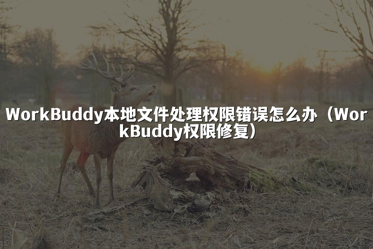 WorkBuddy本地文件处理权限错误怎么办(WorkBuddy权限修复)