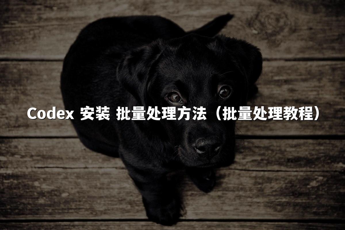 Codex 安装 批量处理方法（批量处理教程）